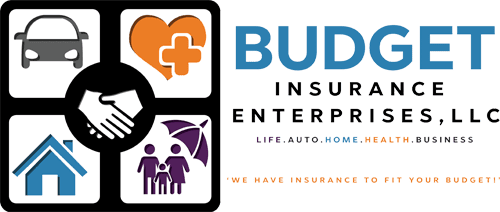 Budget Insurance Enterprises LLC